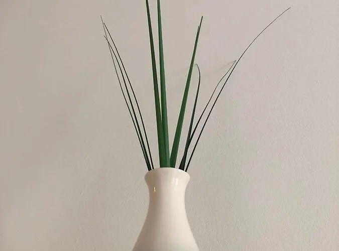 게스트하우스 테니스베버 3*